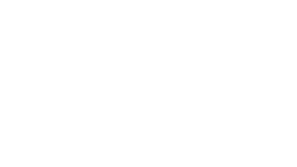 Cesco Holdings